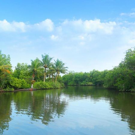 Global Lake Villa Hikkaduwa Exterior photo