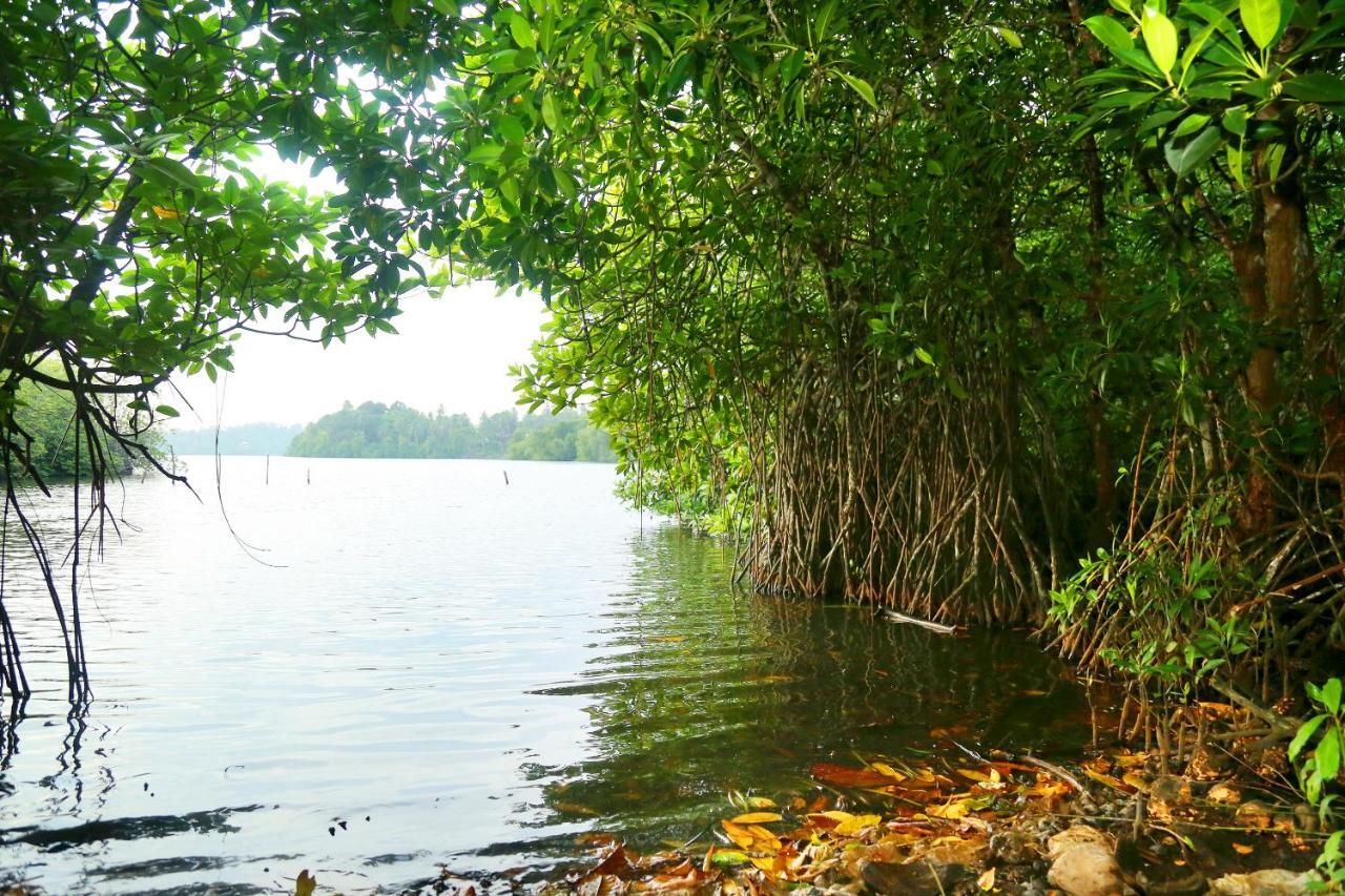 Global Lake Villa Hikkaduwa Exterior photo